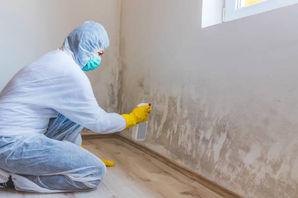 Licensed Mold Removal service in Fort Monmouth, NJ - WQB Mold Removal