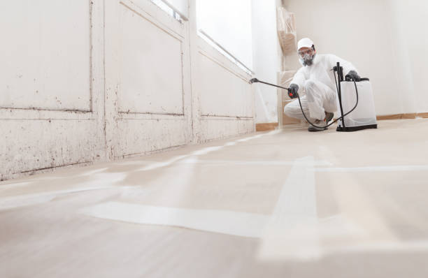 24/7 Emergency Mold Removal experts in Fort Monmouth, NJ