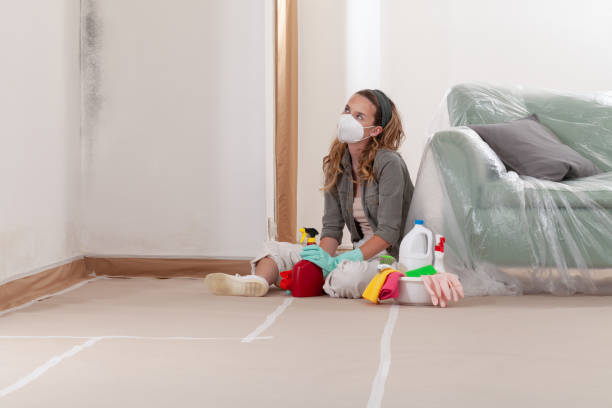 Reliable Mold Removal contractor in Fort Monmouth, NJ by WQB Mold Removal